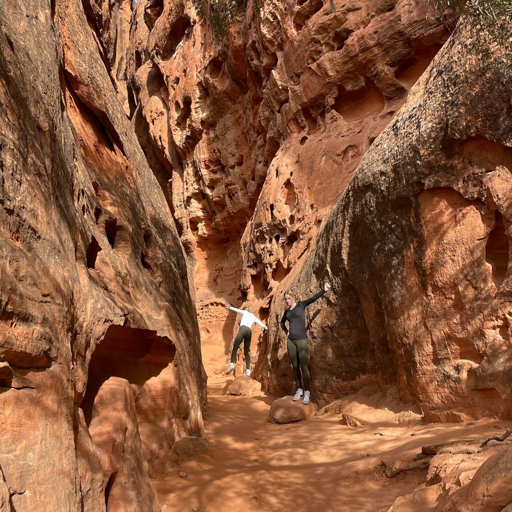 Meet your Posher, Maddie